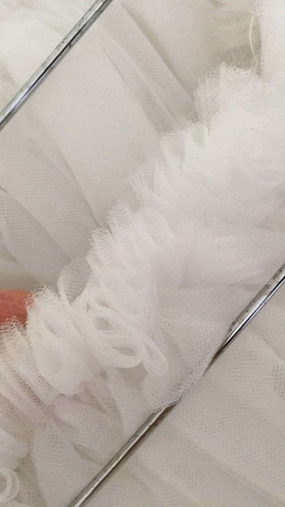  photo IMG_8613_zps9sffomd0.jpg