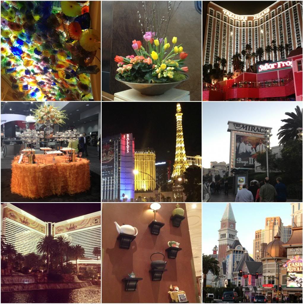 Vegas Trip Collage