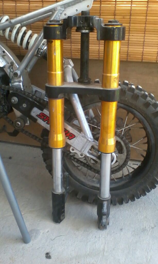 Longer Forks Pit Bike at Jermaine Hotchkiss blog