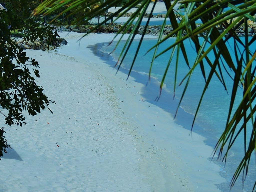 Our%20beach_zpsn1ldyc3j.jpg