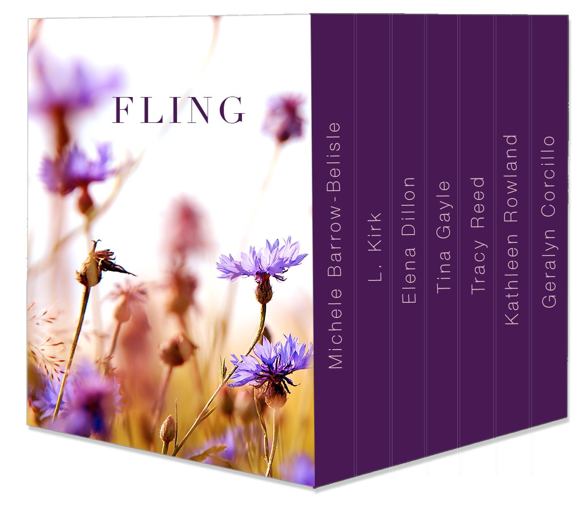 Fling BoxSet photo fling_box_set_mockup_v5_zps2ldnlg96.jpg