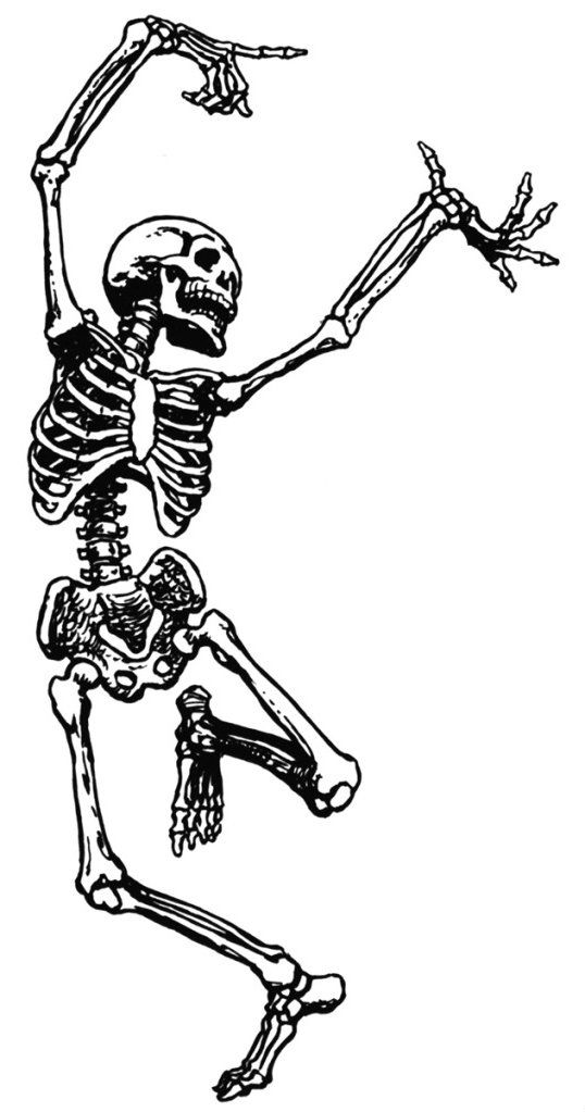 funny skeleton clipart - photo #19