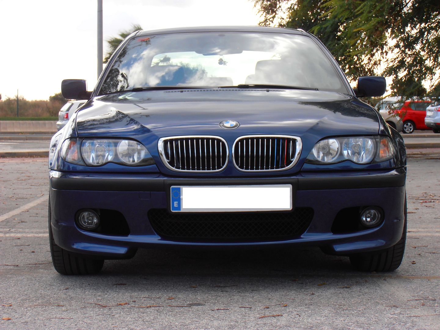 PC270001-2_zpsadkgggae.jpg