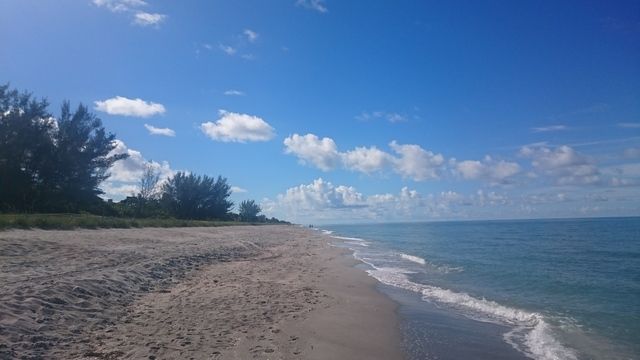 Miami y Oeste de Florida Septiembre 2016 - Blogs de USA - 28/9: Captiva – Sanibel – Fort Myers Beach (2)