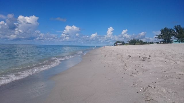Miami y Oeste de Florida Septiembre 2016 - Blogs de USA - 28/9: Captiva – Sanibel – Fort Myers Beach (3)