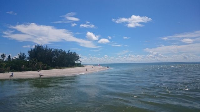 Miami y Oeste de Florida Septiembre 2016 - Blogs de USA - 28/9: Captiva – Sanibel – Fort Myers Beach (4)