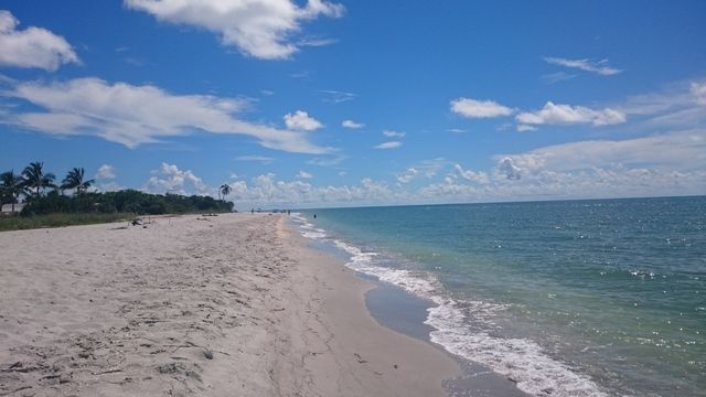 Miami y Oeste de Florida Septiembre 2016 - Blogs de USA - 28/9: Captiva – Sanibel – Fort Myers Beach (5)