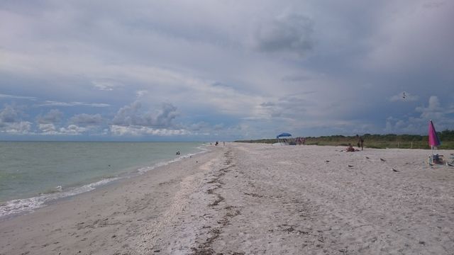 Miami y Oeste de Florida Septiembre 2016 - Blogs de USA - 28/9: Captiva – Sanibel – Fort Myers Beach (6)