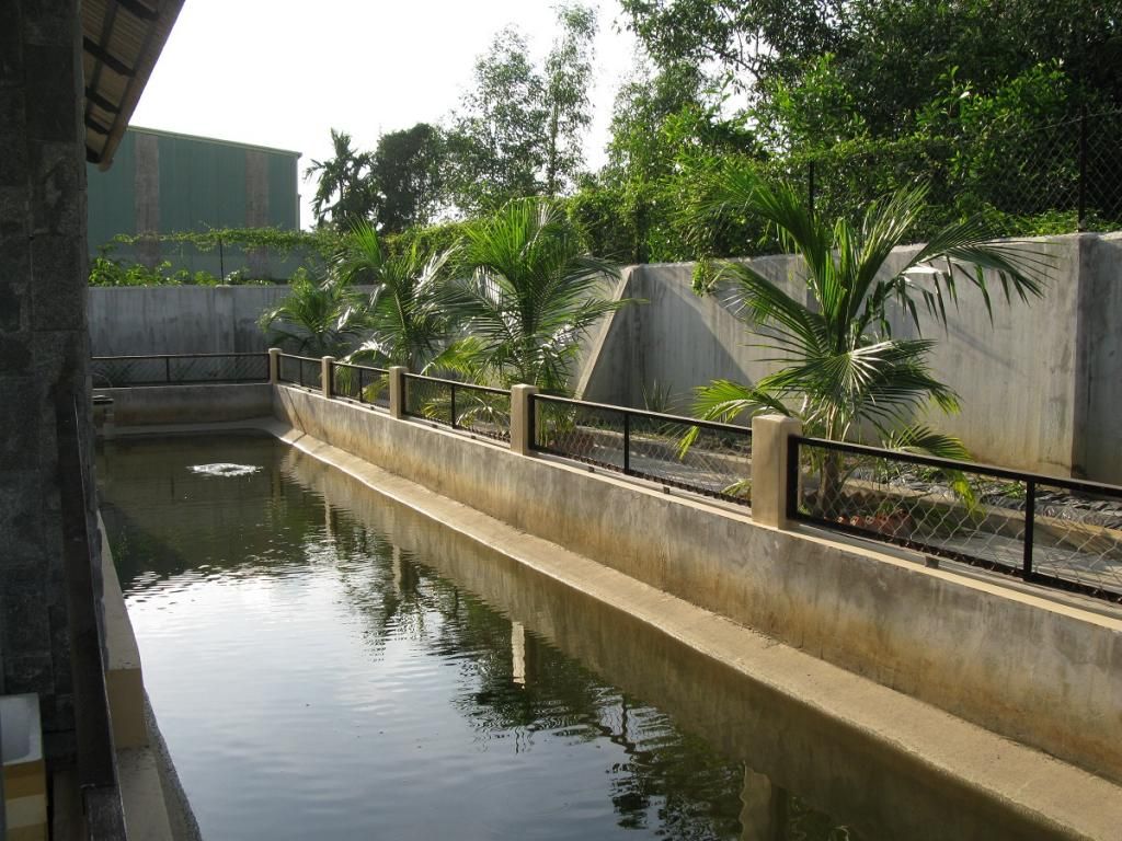 Cần bán - Biệt thự nhà vườn mới - gần KDL Bình Mỹ, Củ Chi - DT: 1100m2, giá: 2,5tỉ - 8