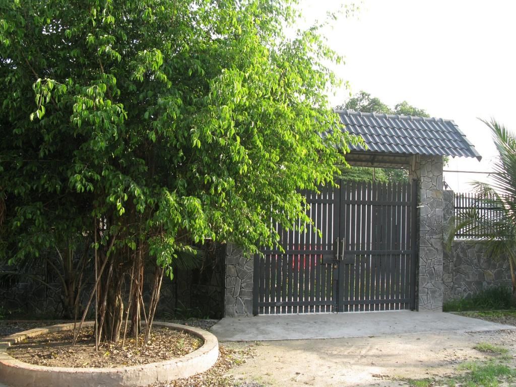 Cần bán - Biệt thự nhà vườn mới - gần KDL Bình Mỹ, Củ Chi - DT: 1100m2, giá: 2,5tỉ - 1