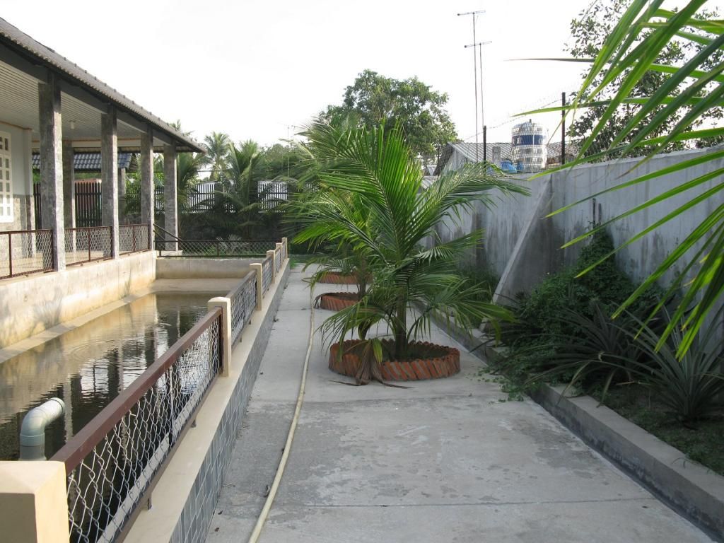 Cần bán - Biệt thự nhà vườn mới - gần KDL Bình Mỹ, Củ Chi - DT: 1100m2, giá: 2,5tỉ - 9