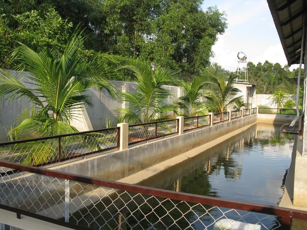 Cần bán - Biệt thự nhà vườn mới - gần KDL Bình Mỹ, Củ Chi - DT: 1100m2, giá: 2,5tỉ - 11