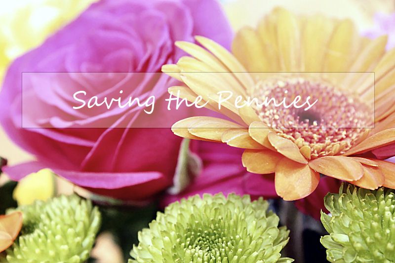 Lifestyle: Saving the pennies