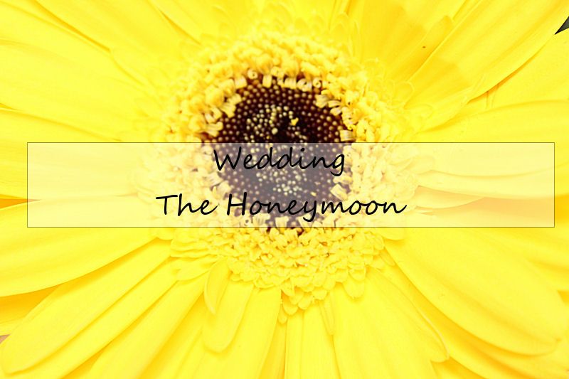 Wedding: The Honeymoon