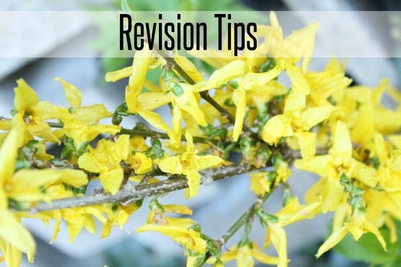 Revision Tips