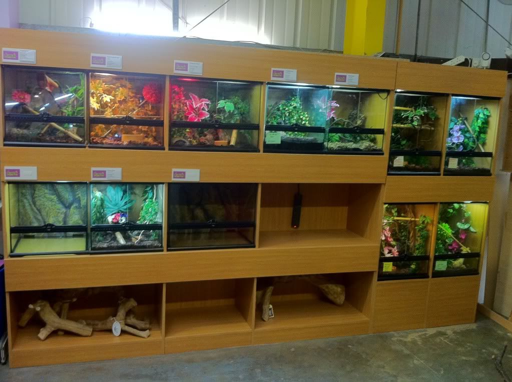 Vivtastic custom builds. Reptile Forums