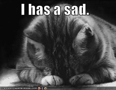 sad-cat-blackandwhite1.jpg