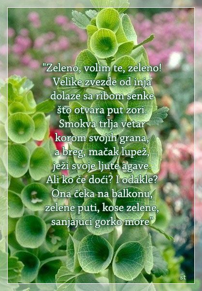 zeleno2_zpsf2298e18.jpg